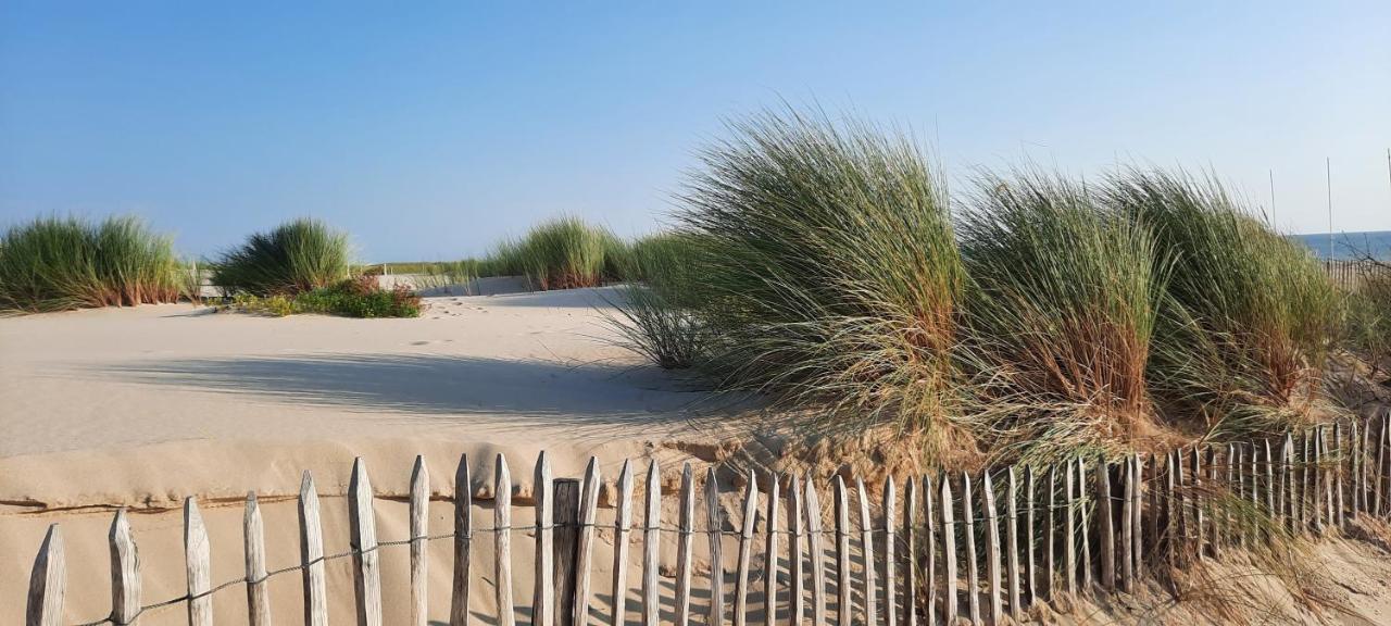 Maison Sur Le Bassin D'Arcachon La Teste-de-Buch Esterno foto